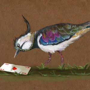 Ein Kiebitz betrachtet eine Spielkarte